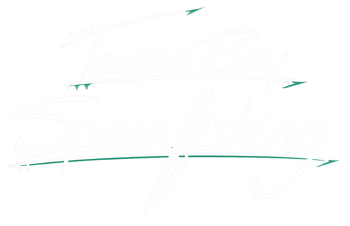 Tampa Bay Spearfishing